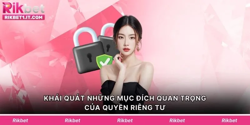 Khái quát những mục đích quan trọng của quyền riêng tư